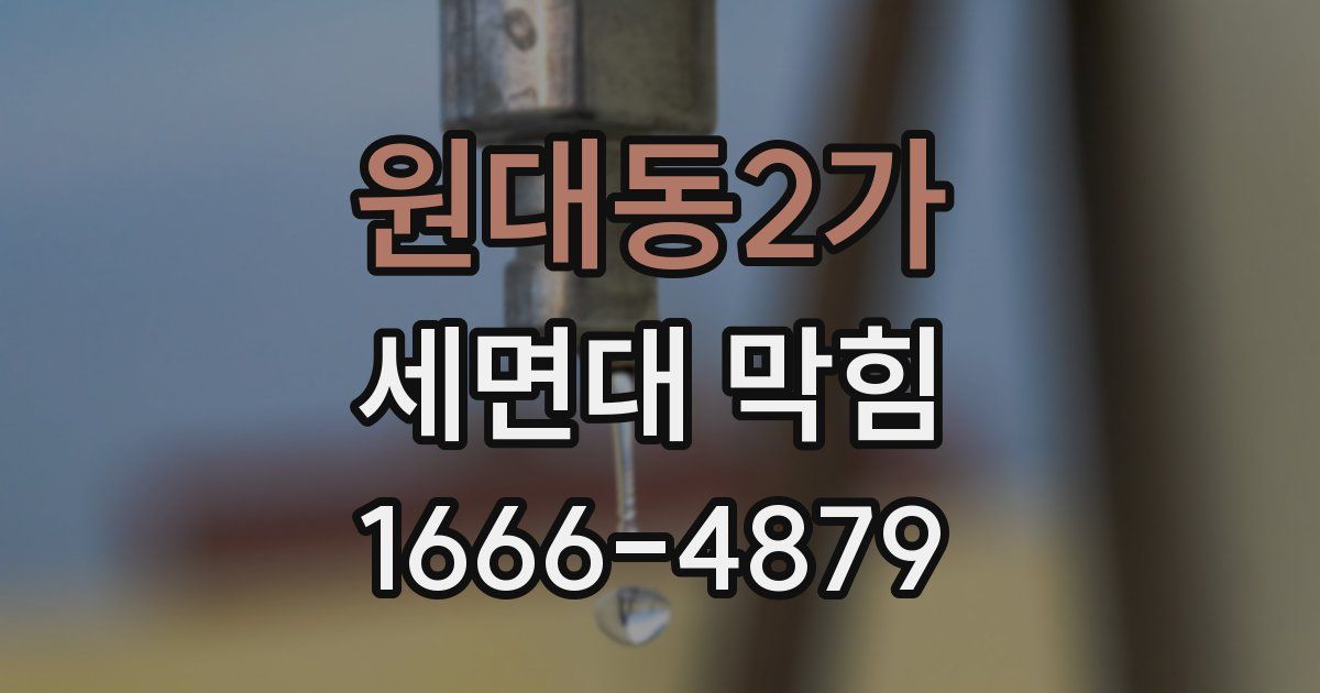 원대동2가 세면대 막힘