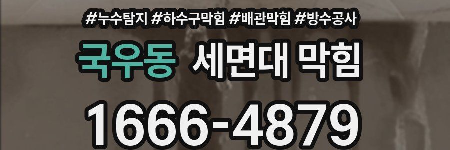 국우동 세면대 막힘