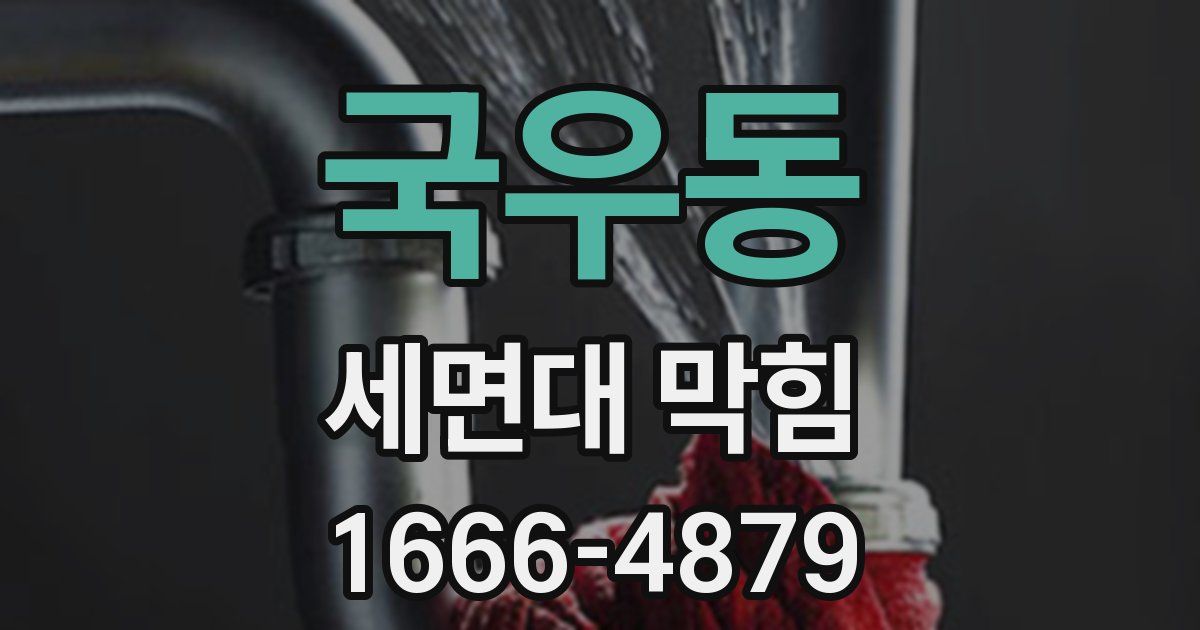 국우동 세면대 막힘