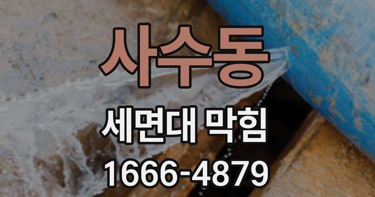 사수동 세면대 막힘