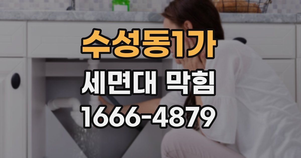 수성동1가 세면대 막힘