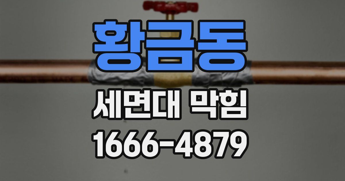 황금동 세면대 막힘