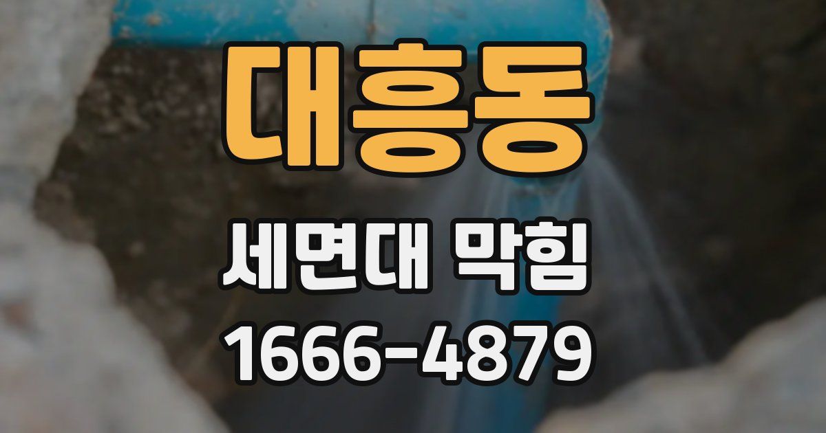 대흥동 세면대 막힘