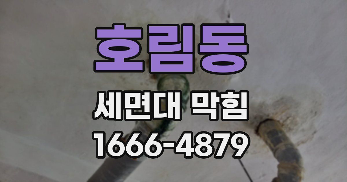 호림동 세면대 막힘
