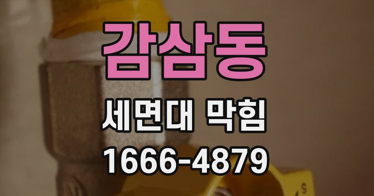감삼동 세면대 막힘