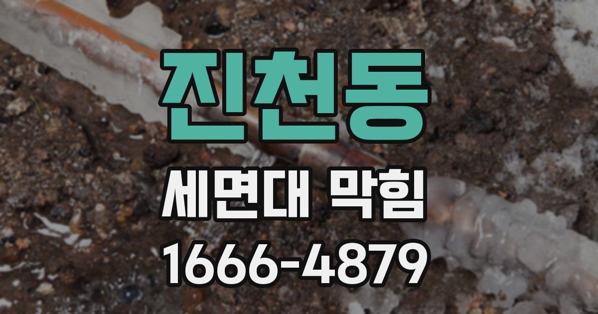 진천동 세면대 막힘