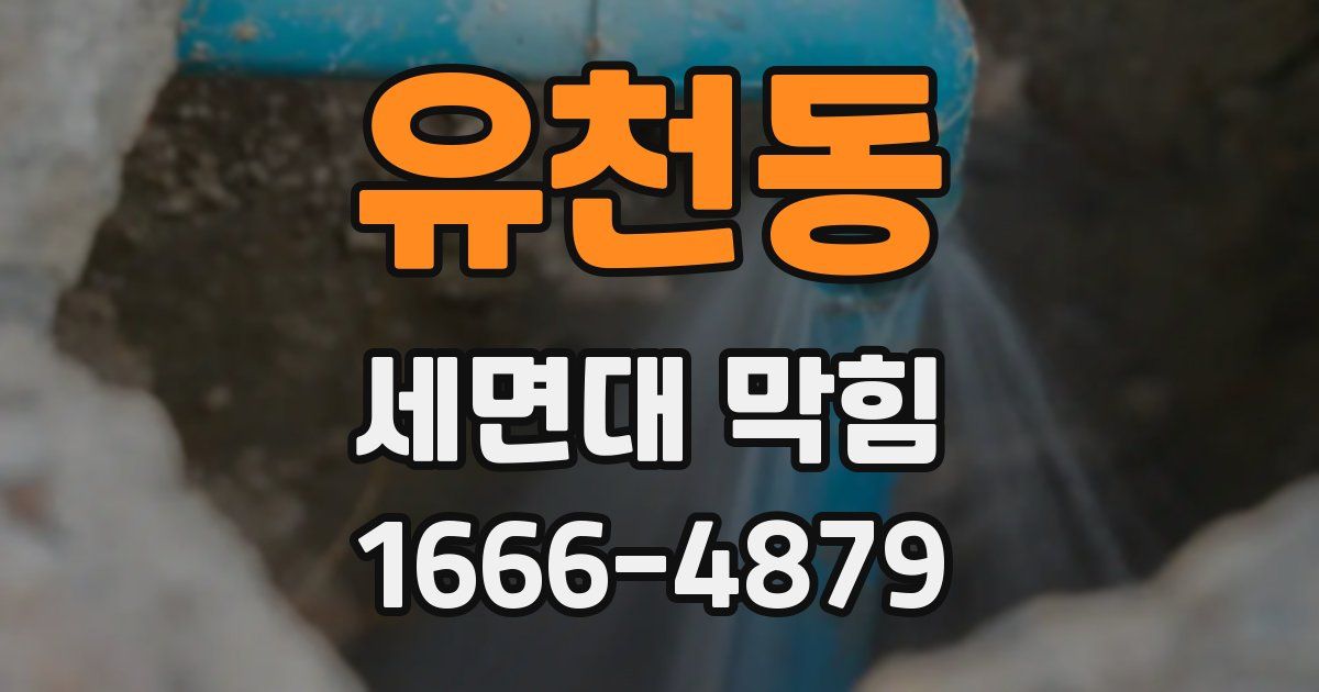 유천동 세면대 막힘