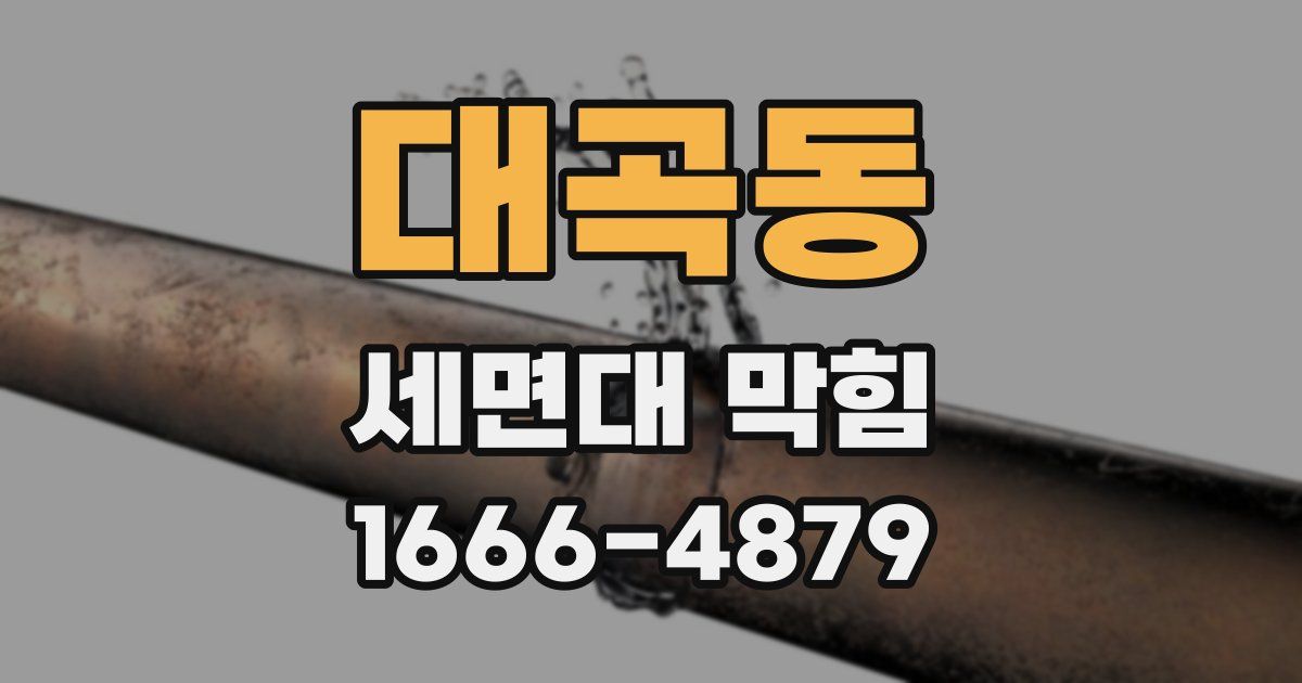 대곡동 세면대 막힘