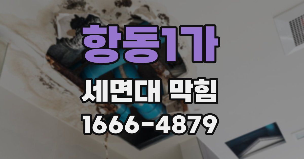 항동1가 세면대 막힘