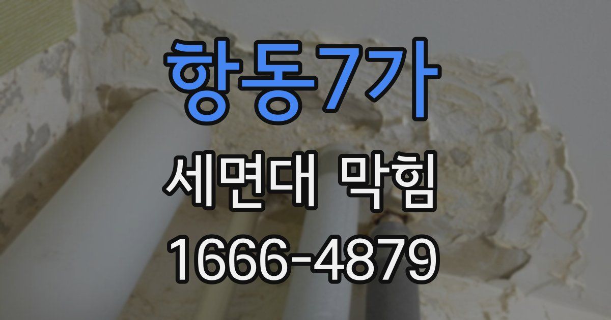 항동7가 세면대 막힘