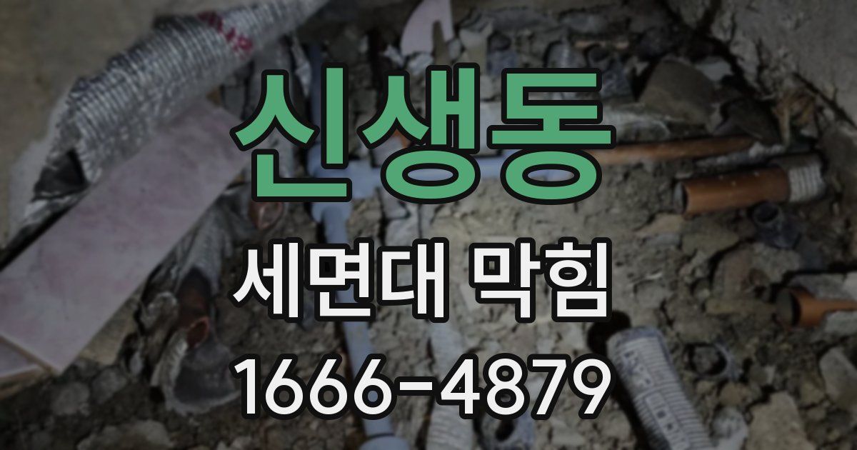 신생동 세면대 막힘