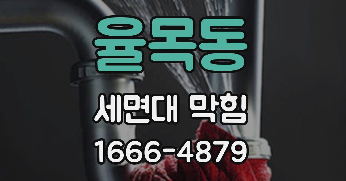 율목동 세면대 막힘