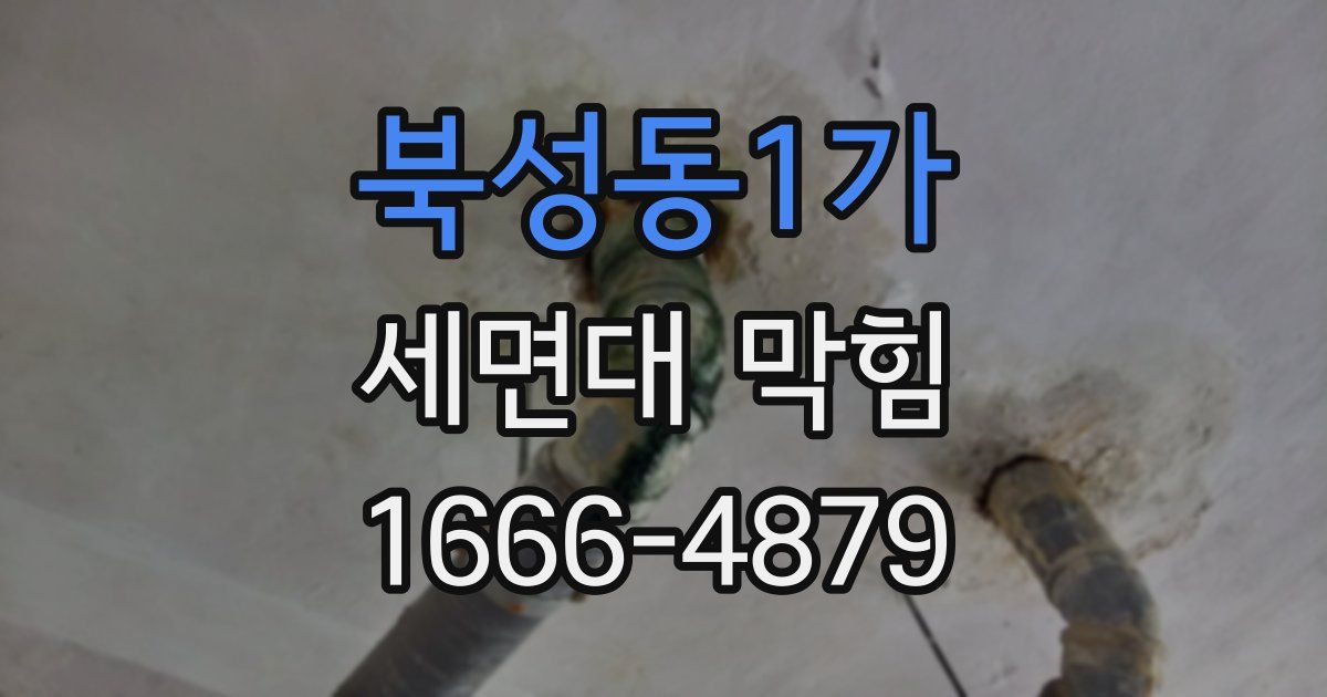 북성동1가 세면대 막힘