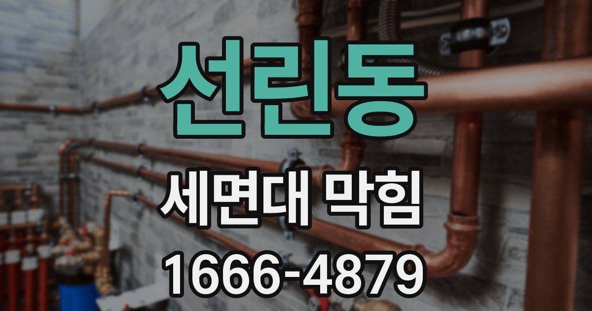 선린동 세면대 막힘