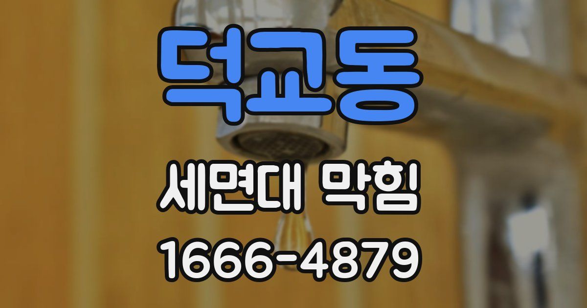 덕교동 세면대 막힘