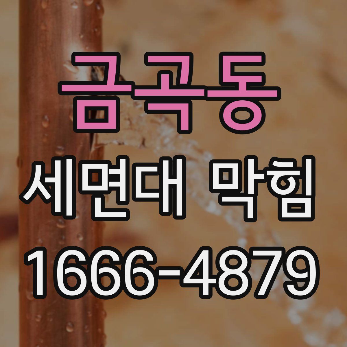 금곡동 세면대 막힘