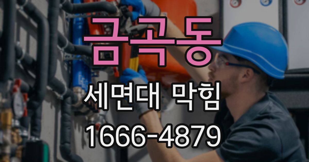 금곡동 세면대 막힘