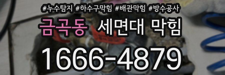 금곡동 세면대 막힘