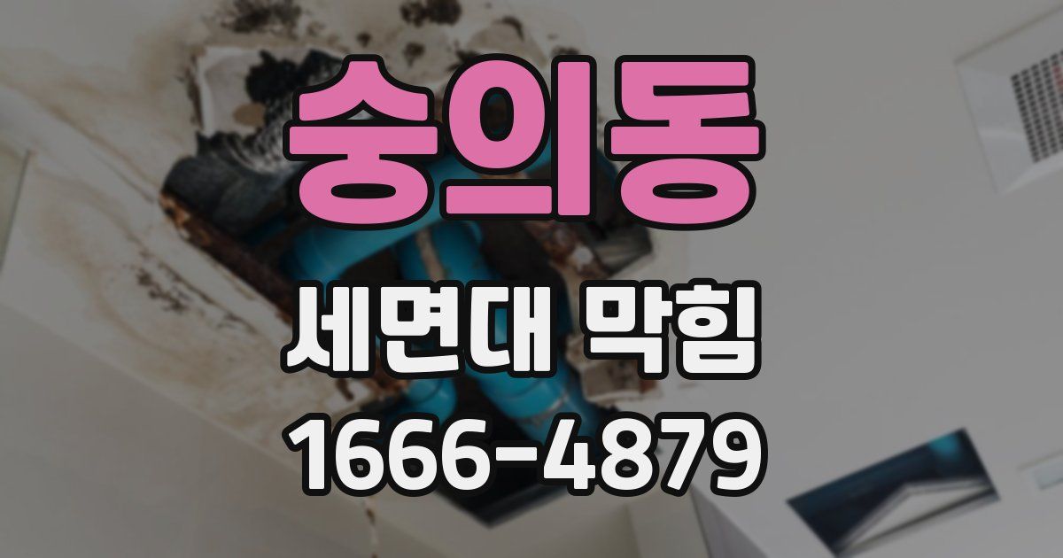 숭의동 세면대 막힘