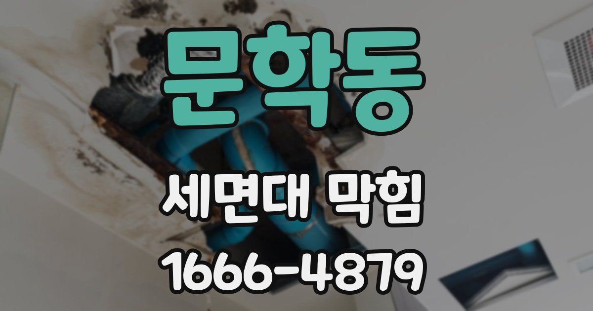 문학동 세면대 막힘