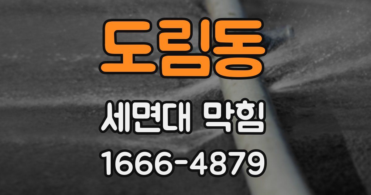 도림동 세면대 막힘