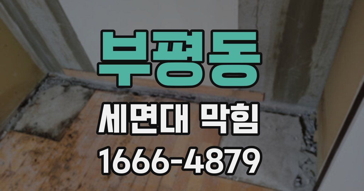 부평동 세면대 막힘