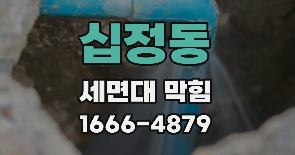 십정동 세면대 막힘