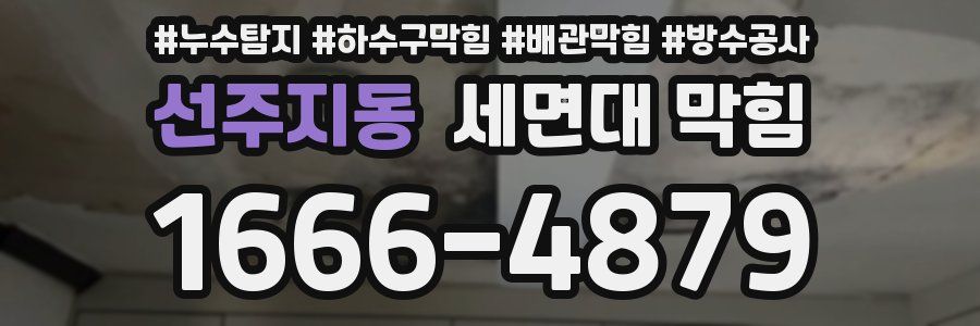 선주지동 세면대 막힘