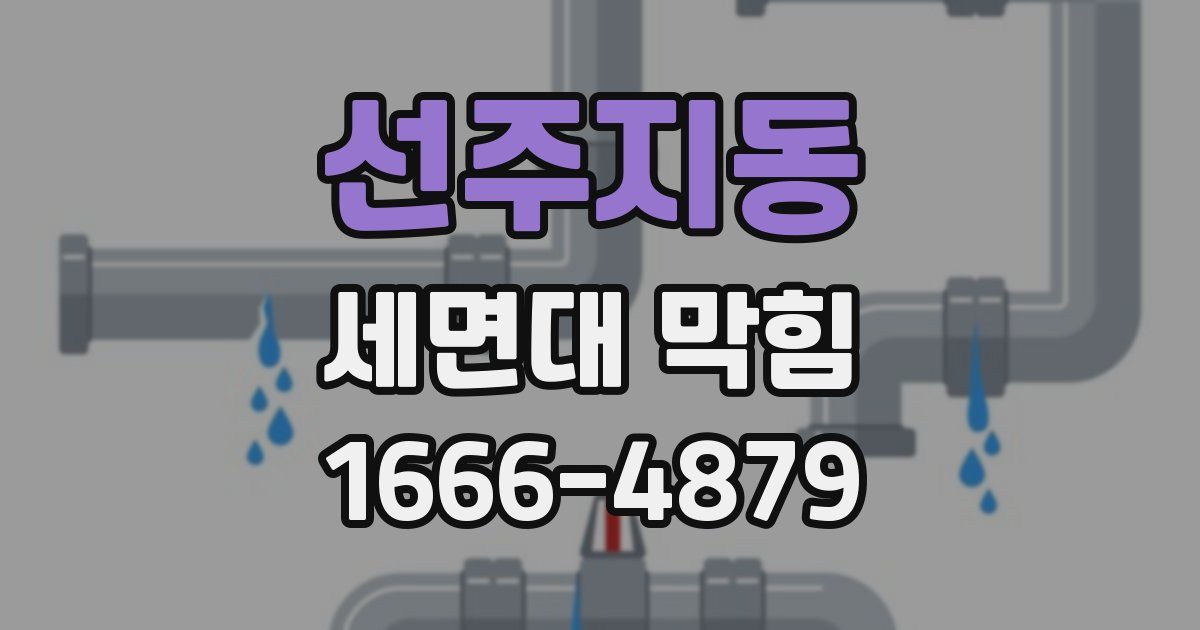 선주지동 세면대 막힘