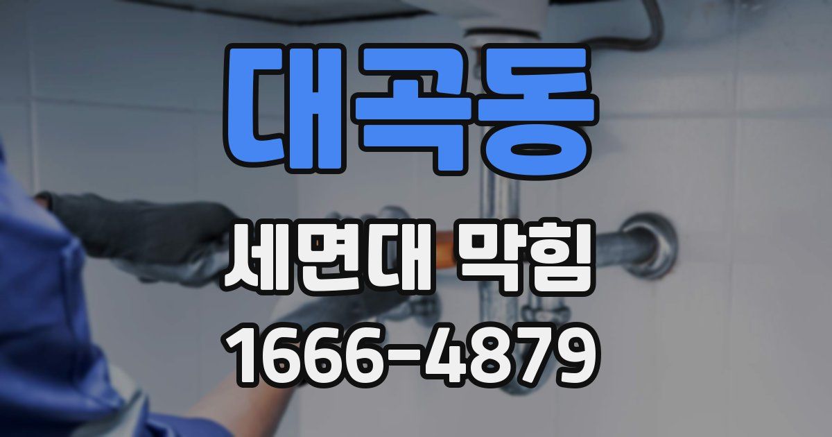 대곡동 세면대 막힘