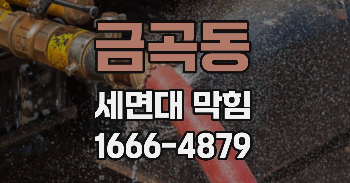 금곡동 세면대 막힘