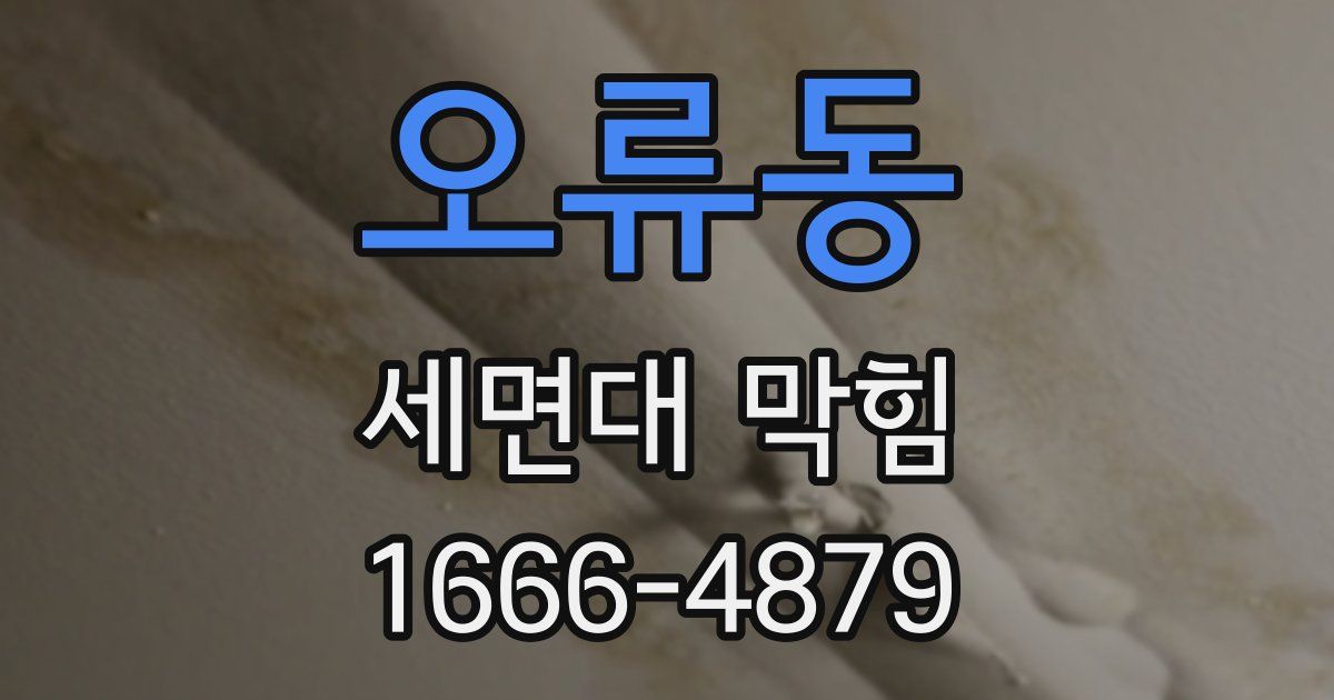 오류동 세면대 막힘