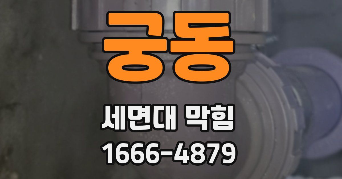 궁동 세면대 막힘