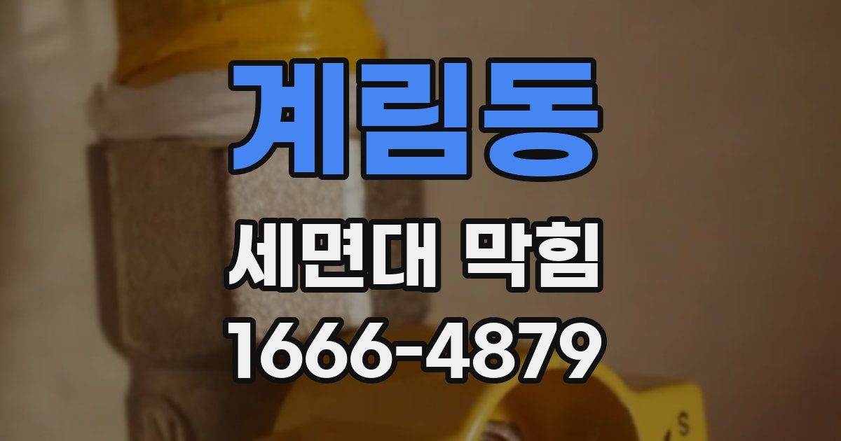 계림동 세면대 막힘