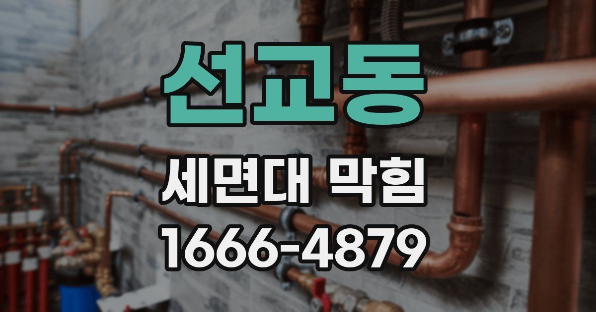 선교동 세면대 막힘