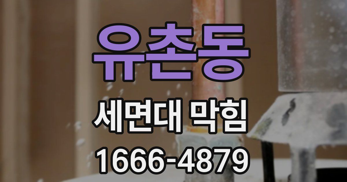 유촌동 세면대 막힘