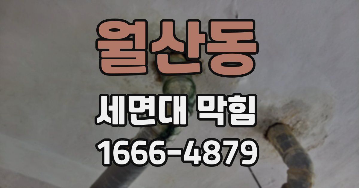 월산동 세면대 막힘