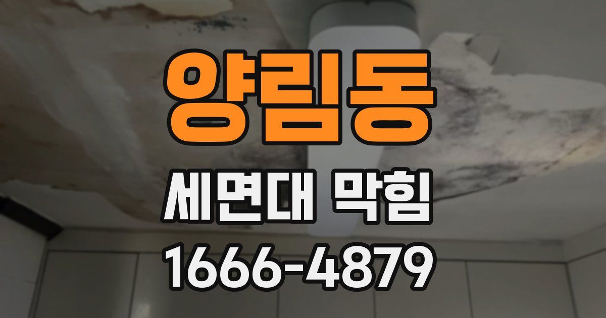 양림동 세면대 막힘