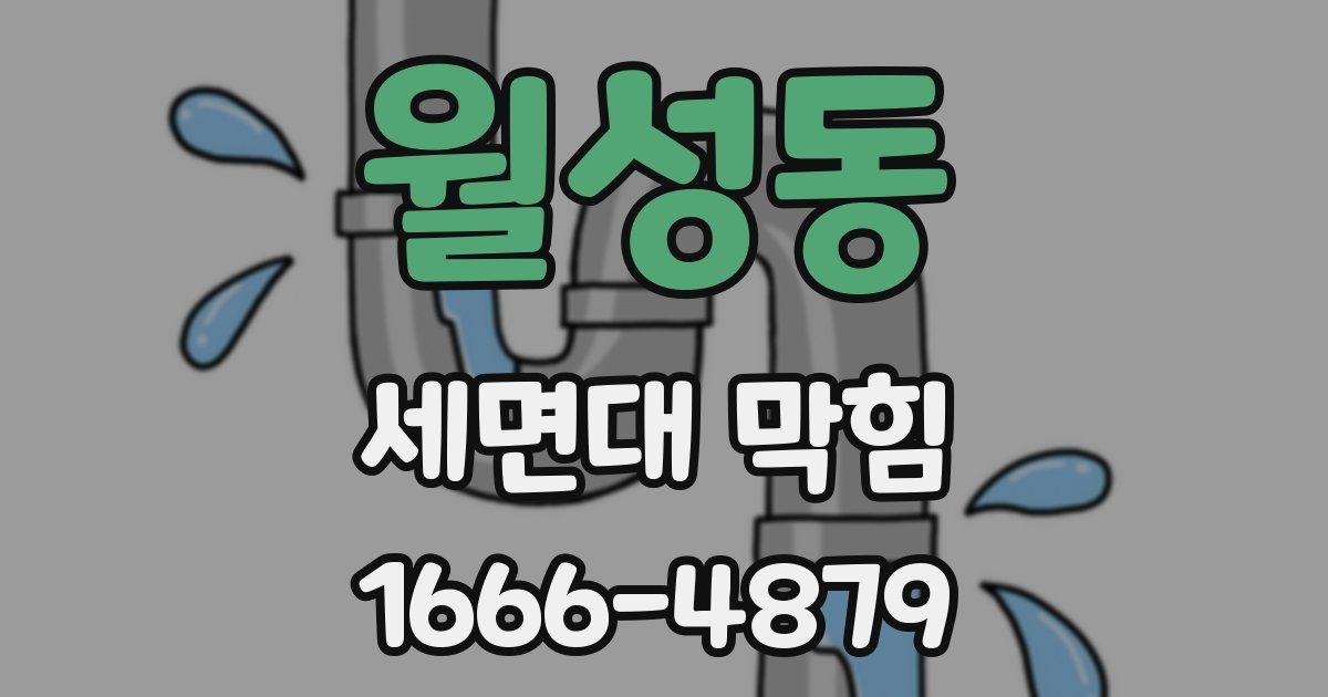 월성동 세면대 막힘