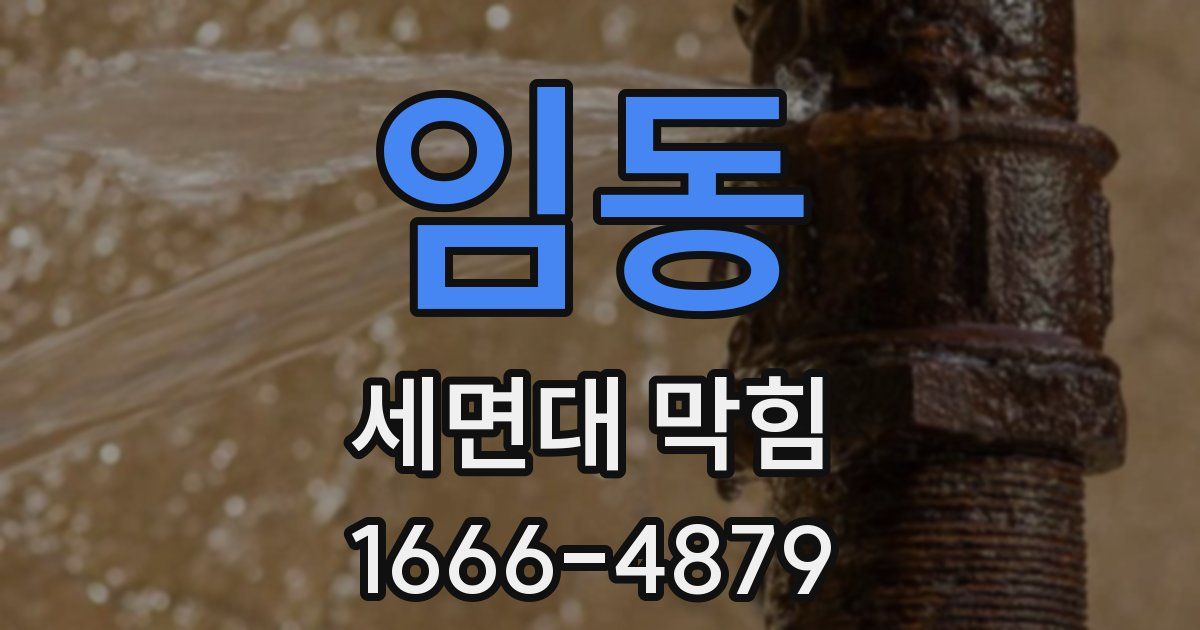 임동 세면대 막힘