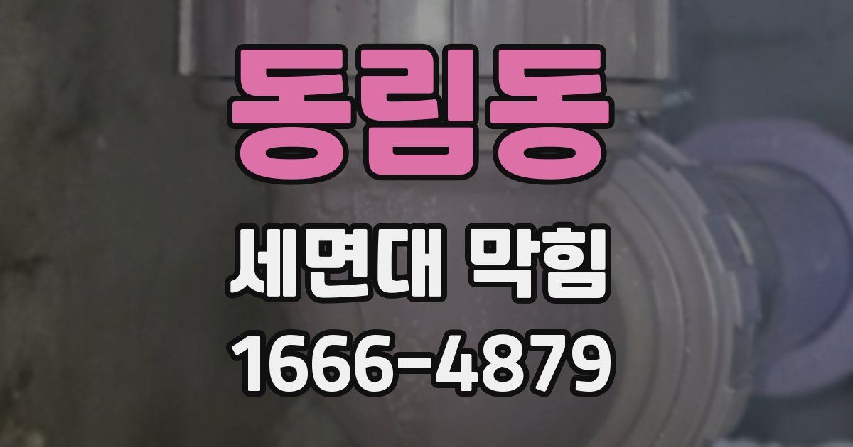 동림동 세면대 막힘