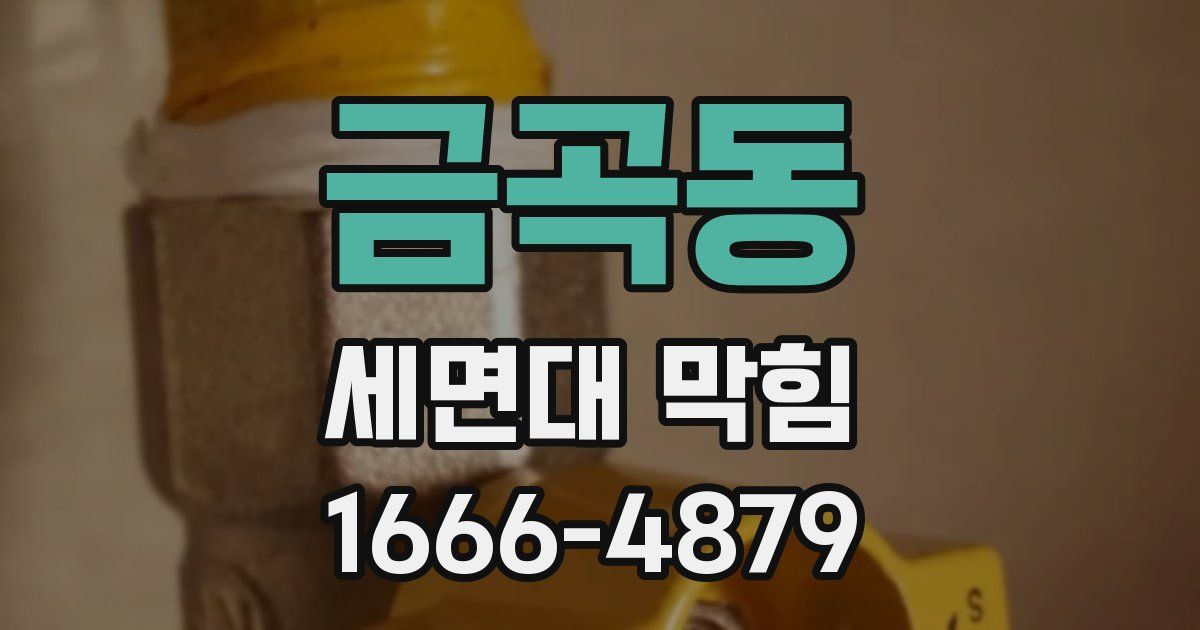 금곡동 세면대 막힘