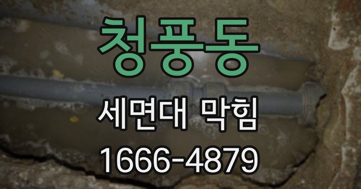 청풍동 세면대 막힘