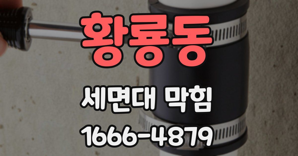 황룡동 세면대 막힘