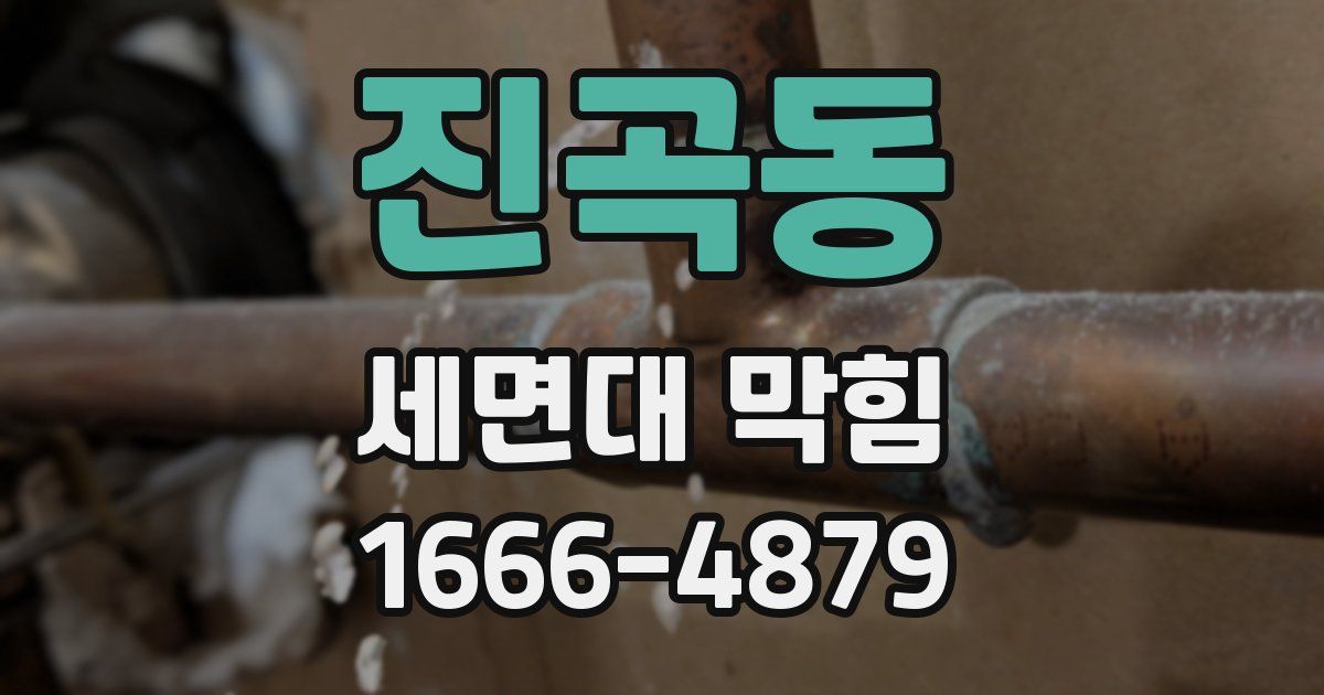 진곡동 세면대 막힘