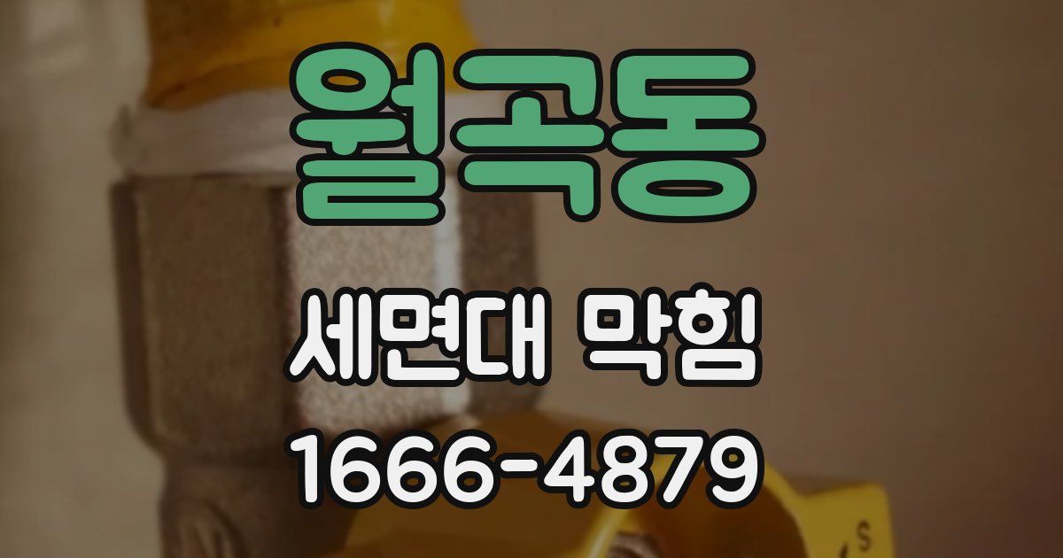 월곡동 세면대 막힘