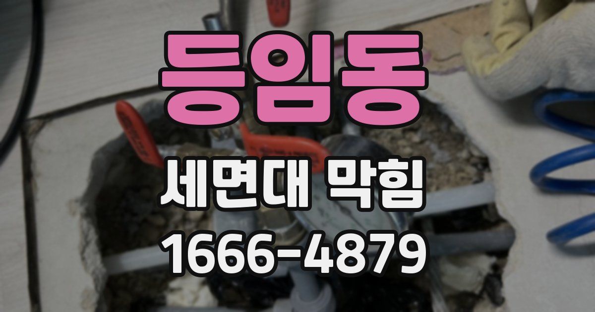 등임동 세면대 막힘