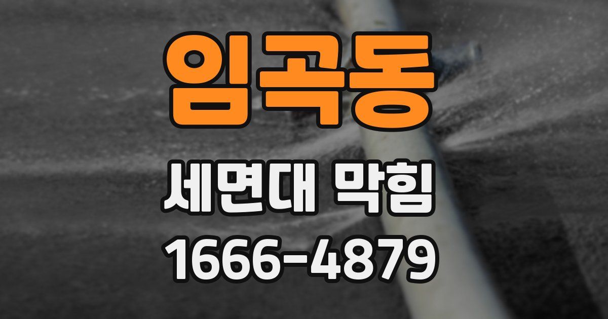임곡동 세면대 막힘