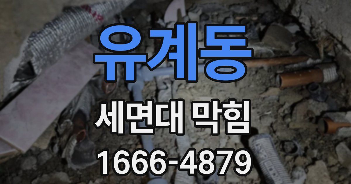 유계동 세면대 막힘