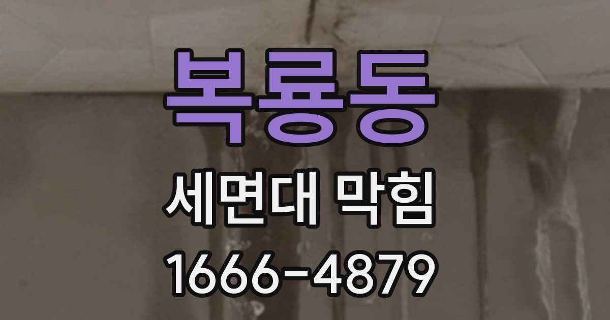복룡동 세면대 막힘